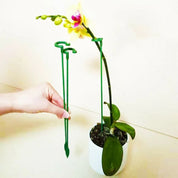 Stabile Rankhilfe für Blumen & Gemüse | Wetterfest & werkzeuglos | Orchideen & Tomaten | StemRise 0